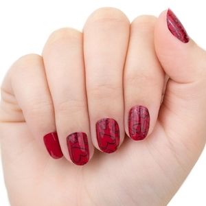 Color Street: Party Hearty *Retired*